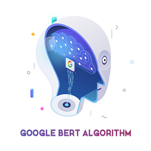 BERT Algorithm